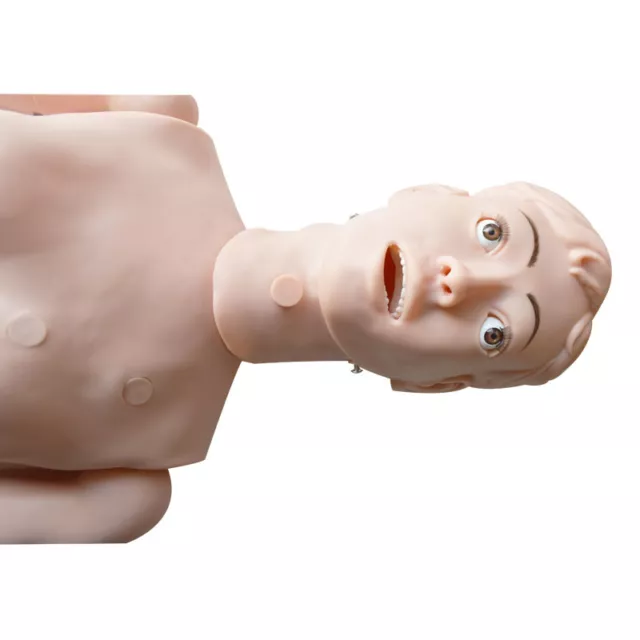 Openbox Anatomical Human Patient Care Manikin Model - Nursing Training Medical Openbox Anatomical Human Patient Care Manikin Model - Nursing Training Medical