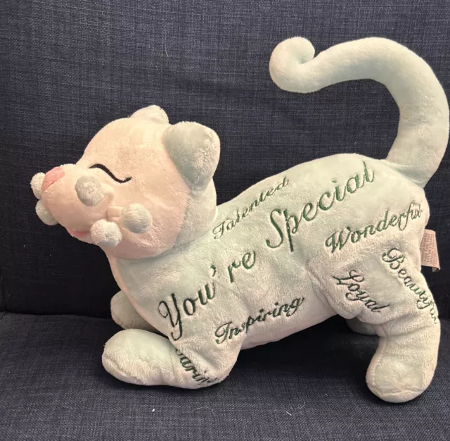 Vtg WhimsiClay Amy Lacombe ~9" YOU’re SPECIAL Cat Plush Stuffed Animal