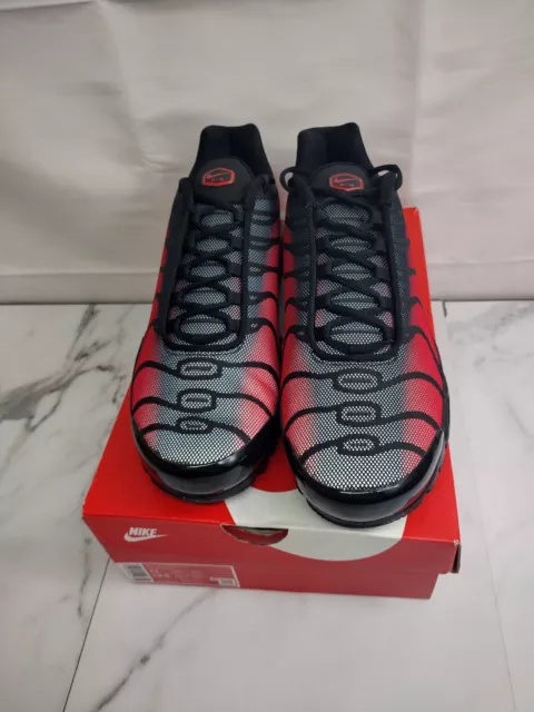 bred reflective tn