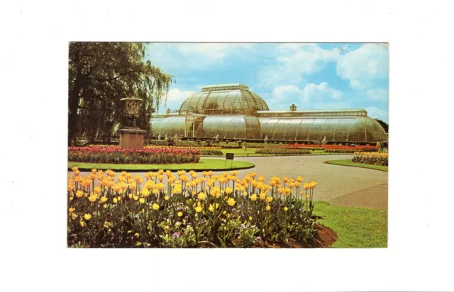 AK Ansichtskarte Kew Gardens / England