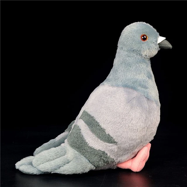 Peluche pigeon sale