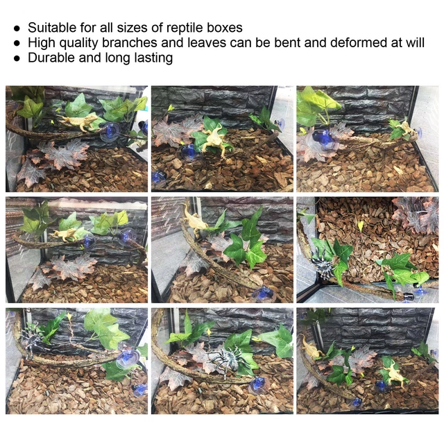 Reptile Corner Branch Terrarium Pflanzendekoration Mit Saugnäpfen Für Amphi Rop