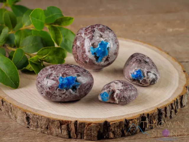 CAVANSITE Tumbled Healing Crystals and Stones, Self Care, Unique Gift, E0219 3