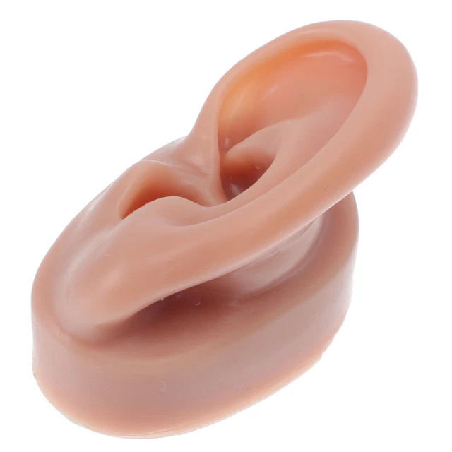 Forma orecchio simulazione modello auricolare in silicone morbido accessori studente umano