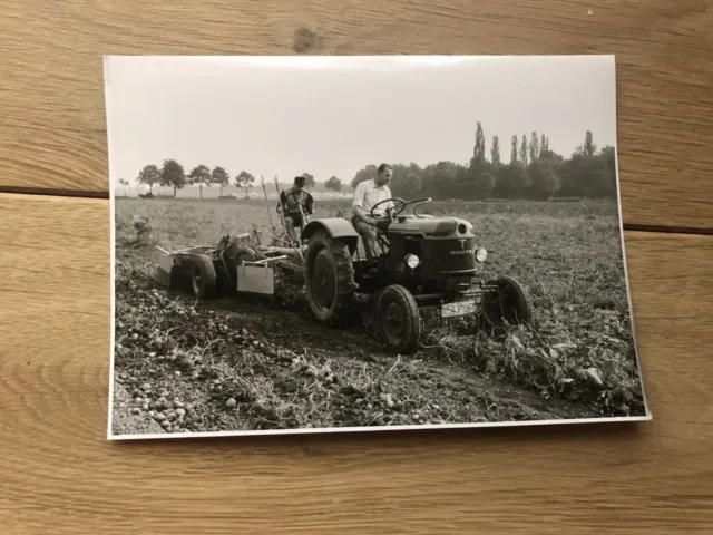 Deutz F2L 612 tractor + Werksfoto / factory picture + 1950er Jahre