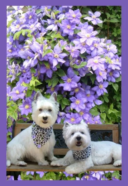 Westie Blossoms Garden Flag Free Ship Usa