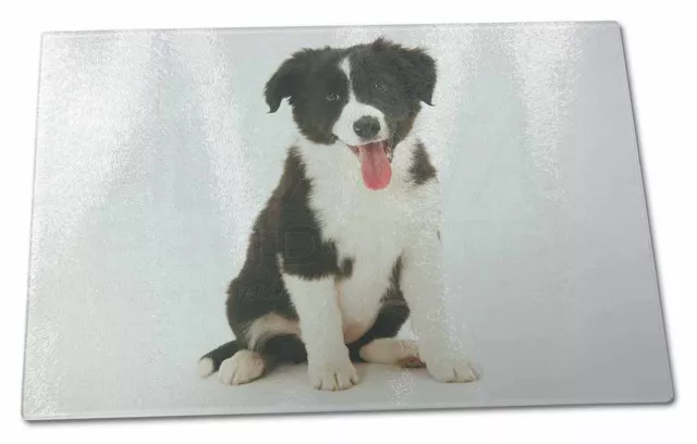 Border Collie Puppy Large Glass Cutting Chopping Board, AD-CO45GCBL