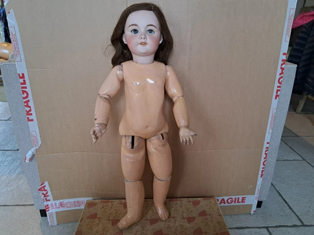 Belle Poupee Ancienne Tete Porcelaine Sfbj Tete Jumeau Taille 12   ( 2 )