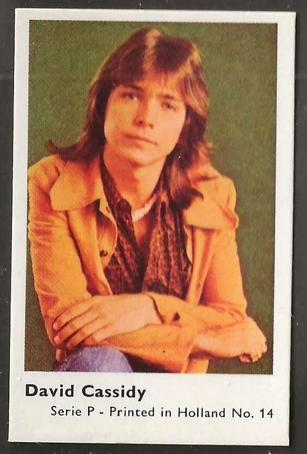 Dandy Gum-Pop Stars (Serie P) 1977-#14- David Cassidy