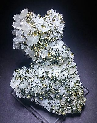 ***SUPERB-Golden Pyrite on Fluorescent Pink Calcite crystals, mine Mexico***