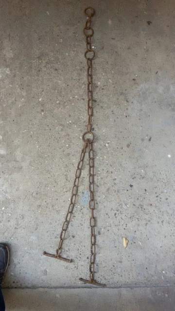 Mucca In Bianco E Nero E Toro Nero Le Migliori Razze Bovine Da Carne Bovini Da Latte - Foto 5