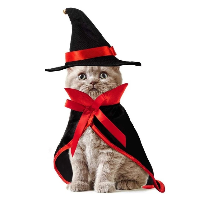 Divertente regalo gatti mantello pipistrello animale domestico costumi animale domestico