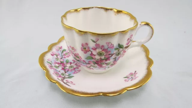 Juego de Taza de Té y Platillo Taylor y Kent Rosa Flor de Manzana Oro Borde Inglaterra