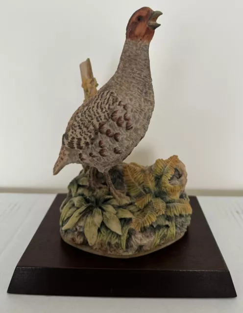 Border Fine Arts 1980 Partridge By R Ayres