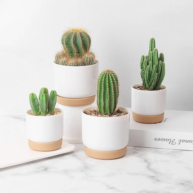 PENTOLE PER PIANTE vaso da fiori impianto sensibile EUR 19,97 - PicClick IT PENTOLE PER PIANTE vaso da fiori impianto sensibile EUR 19,97 - PicClick IT