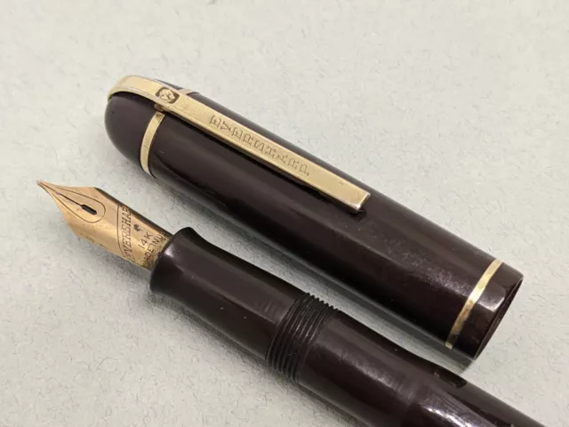 Eversharp Skyline Fountain Pen Brown Working