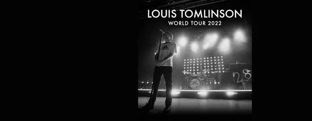 2 Biglietti per il concerto LOUIS TOMLINSON Milano 3 9 2022 posto unico