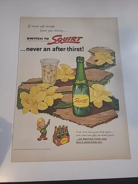 Squirt Soda  print ad 1955 Vintage 10x13