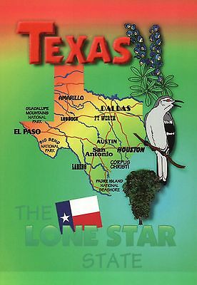 Texas, The Lone Star State, Dallas Houston San Antonion El Paso etc Map Postcard
