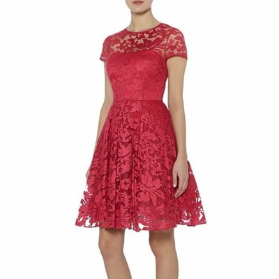 Ted Baker Fuschia 'Caree' Sheer Lace Overlay Dress BNWT  $415 sz 8 US