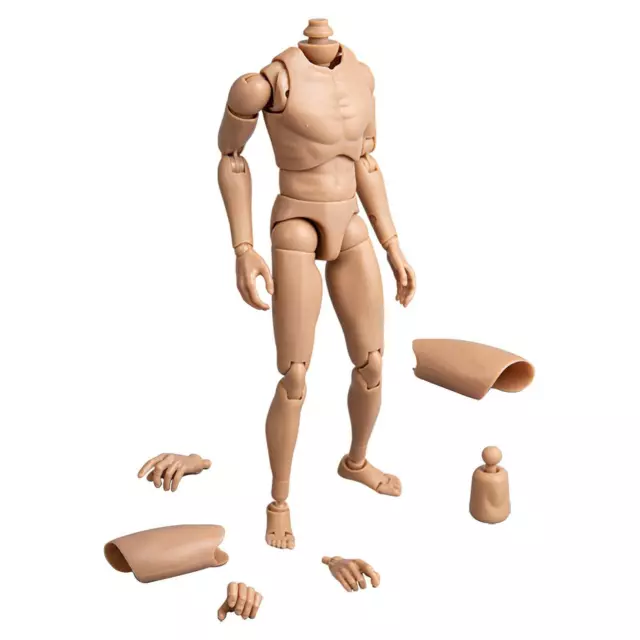 1/6 Scale Male Figure Body Man Body 12" Male Body Model Soldier Nude Body