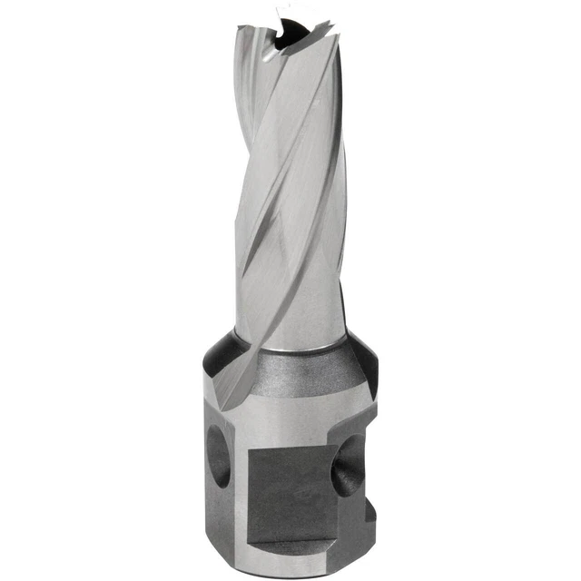 Hougen 12312 12MM X 25MM "12,000-Series" Annular Cutter