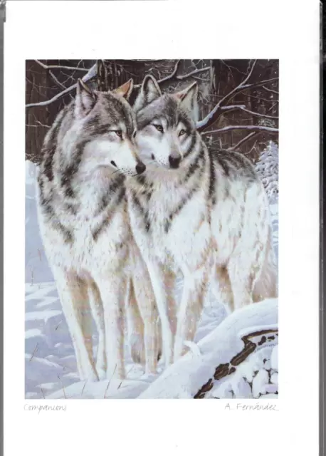 COMPANIONS - Timber Wolves Realism by Amneris Fernandez - New 6" x 9" Art Card