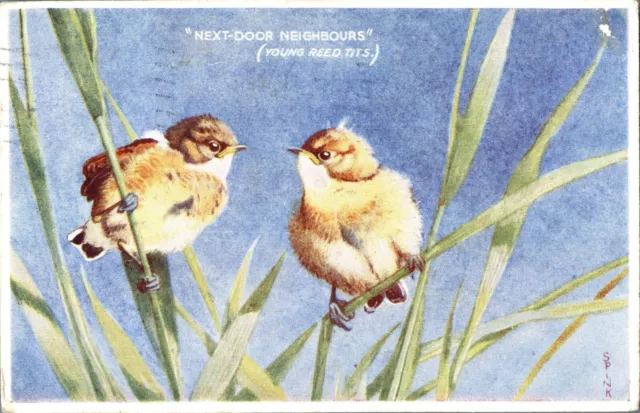 Birds Young Reed Next Door Neighbours postcard antique colour printed cute