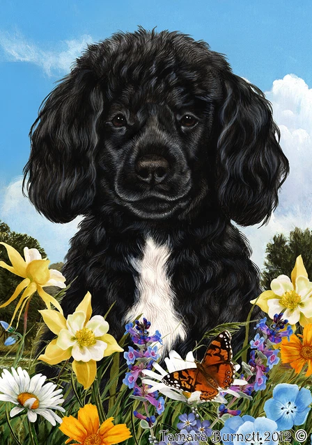 Summer Garden Flag - Black and White Portuguese Water Dog 184891