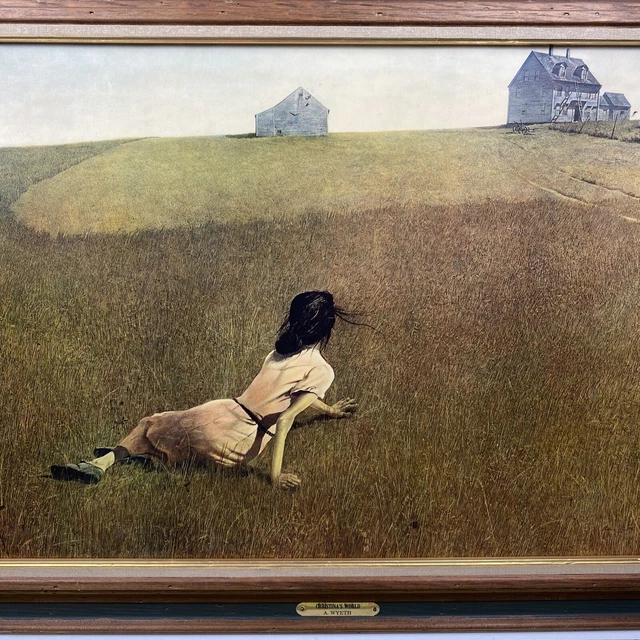 A. Wyeth Christina's World Medium CUSTOM FRAMED Art Americana Farm Rural 16x24