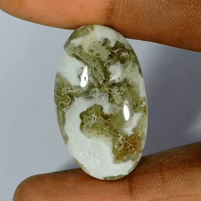 33.00Cts Natural Lodolite Garden Quartz Oval Shape Cabochon Loose Gemstone