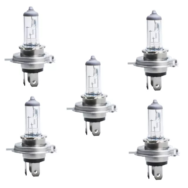 5 Stück 12V 60/55W H4 Halogenlampe Glühlampe Glühbirne Lampe P43T     M4