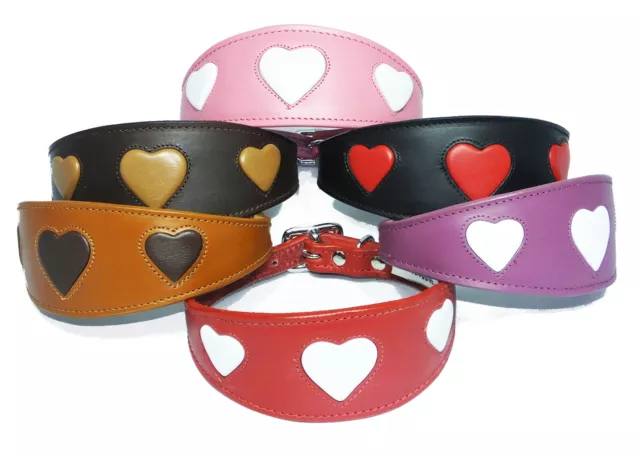 Whippet Greyhound Lurcher Italian Dog Collar Pet Heart Collars Leather All Sizes
