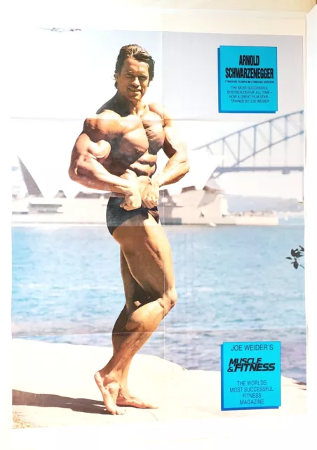 Joe Weiders Muscle & Fitness Arnold Schwarzenegger Poster | Large