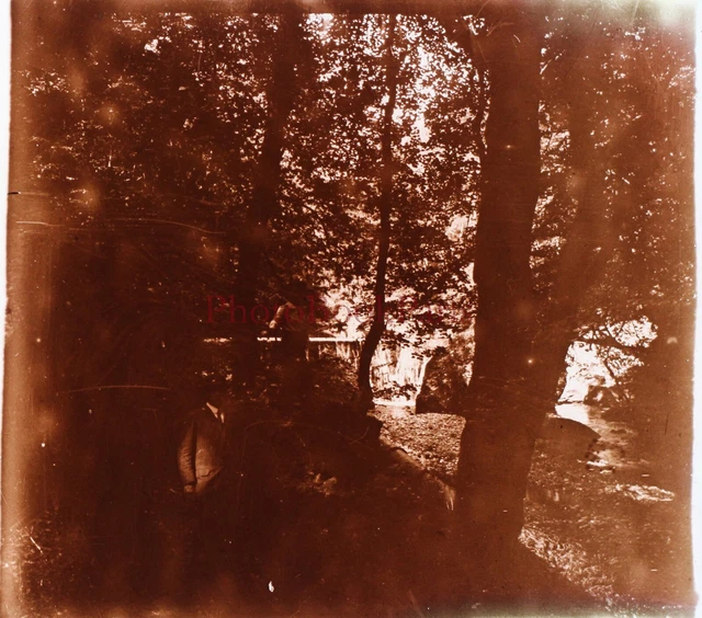 Paysage sous-bois c1910 Photo Plaque de verre Stereo Vintage P29L15n9