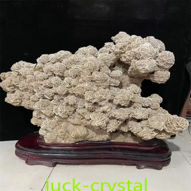 202.4LB Natural Desert Rose Supersize Raw ore specimen stone Reiki Healing,TS1
