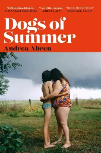 Andrea Abreu Dogs of Summer (Taschenbuch)