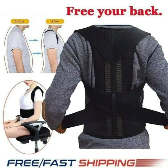 Waist Support Belt Lumbar Back Brace Heavy Work Pain Relief For Men Women Corset