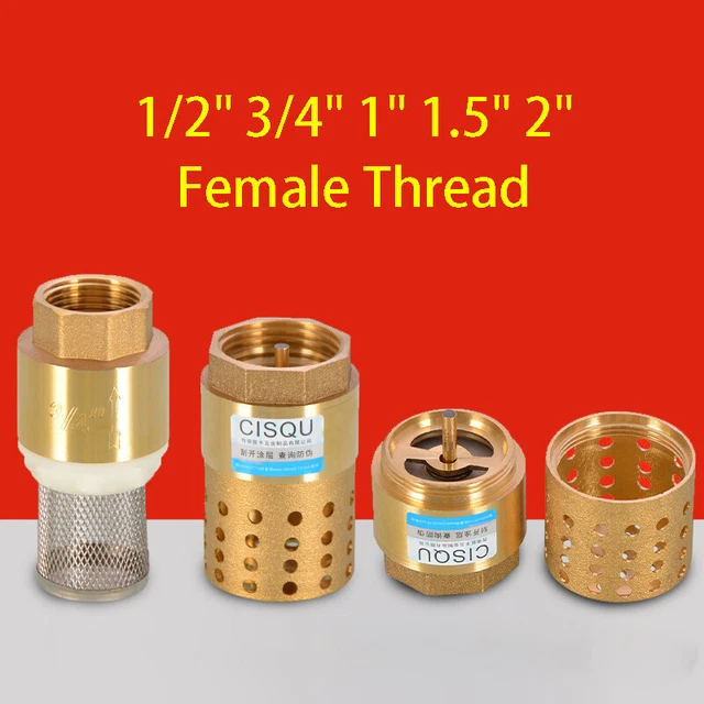 "Valvola di controllo a molla in ottone con filtro colino a senso unico BSP femmina 1/2" 3/4" 1" 2"