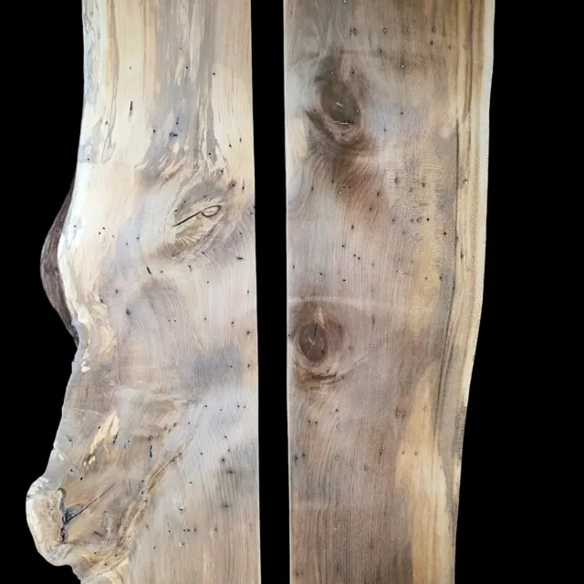Tasmanian Sassafras Board Craft Wood Woodworking Timber Resin Project Slab Blank