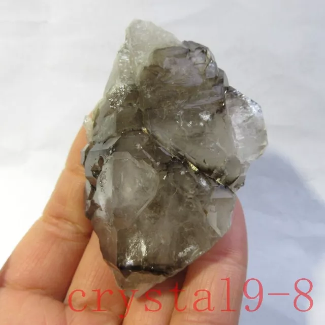 98g Natural Skeletal smoky Elestial QUARTZ CRYSTAL MINERAL SPECIMEN Healing