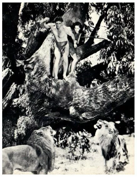 Johnny Weissmuller B & W 6" X 7 1/2"  Real Studio Photograph Tarzan- E9H-15