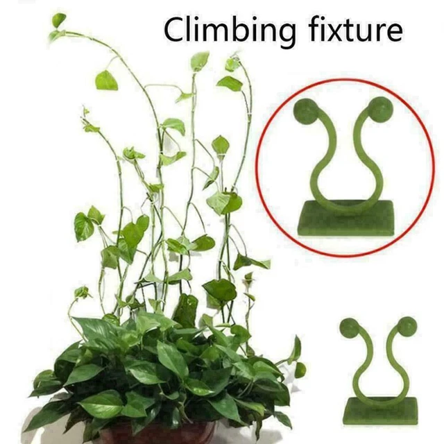 10x Invisible Plants Climbing Wall Sticky Hooks/Vines L6S3 Z8C2 New Clips X7B3