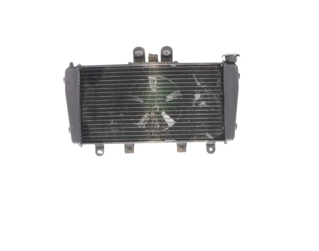 2005-2010 TRIUMPH SPEED TRIPLE 1050 Radiatore - T2100276