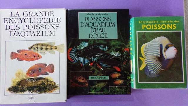 Lot De 3 Livres Autocollants Dinosaures TCJJ - Jeu Éducatif 3-8 Ans