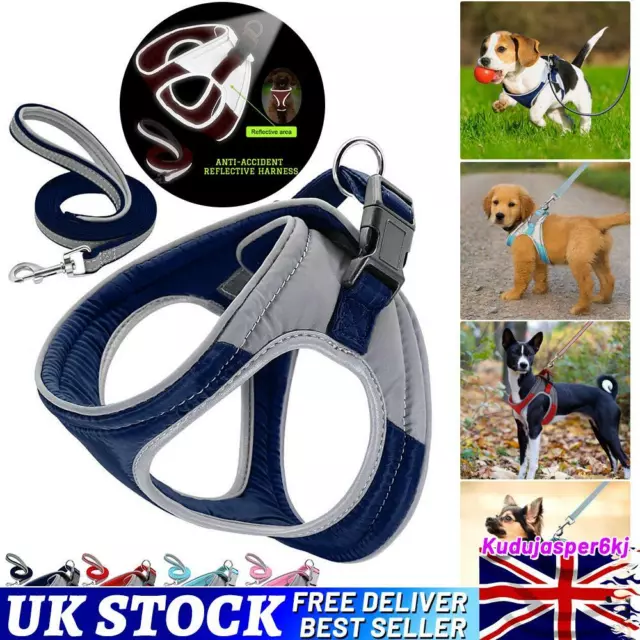 Soft Padded Dog Harness Vest For Small Medium Pug Harness Adjustable Puppy UK