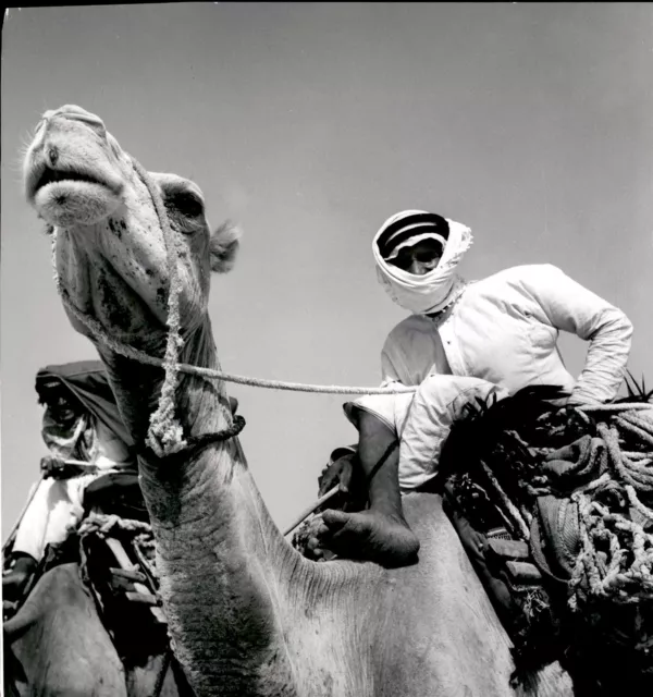 LD346 Original Photo ARAB RIDING CAMEL FROM HOFUF TO QATIF ABQAIQ SAUDI ARABIA