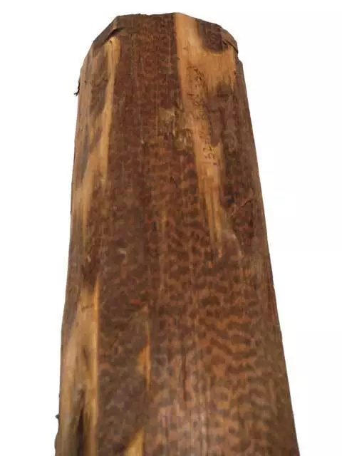 Schlangenholz Snakewood Legno Serpente Bois 32x14cm 70/80mm 3