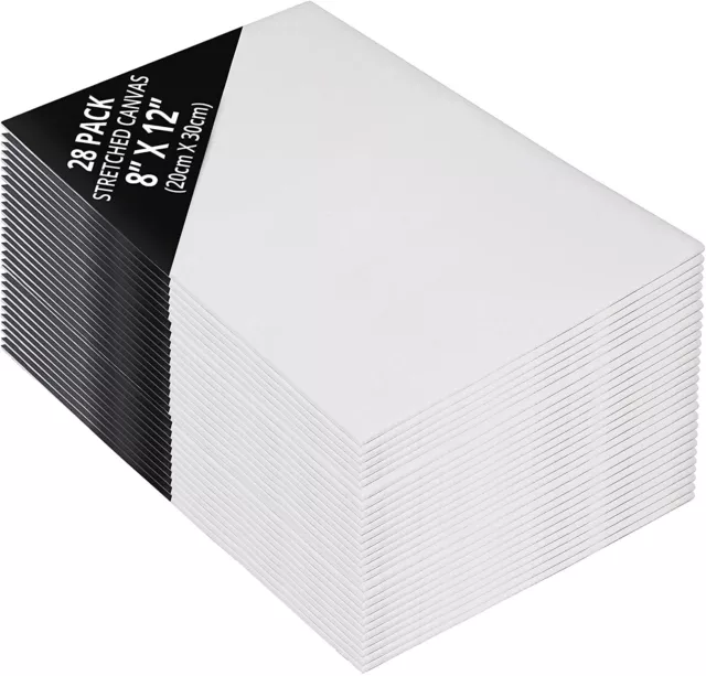 Belle Vous Pack of 28 Blank Canvases for Painting, 4 Different