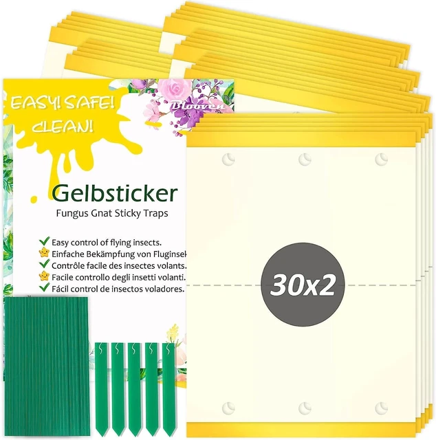 15 Pezzi Trappola per Mosche, Adesivo Insetti Mosche Carta Moschicida